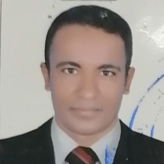 محمود إبراهيم السمان  السيد, مهندس زراعي
