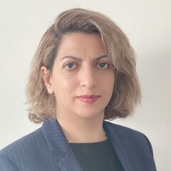 Amene Sarabi, Data and Business Analyst