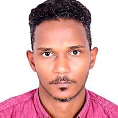 Hamdi Ali Albashir Mohamed