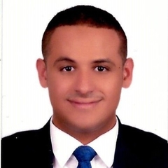 مصطفى محمد عيسى, محاسب