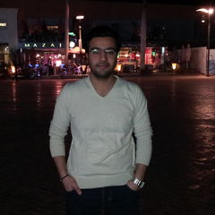 محمد  الوردانى, Software Testing Team Leader 