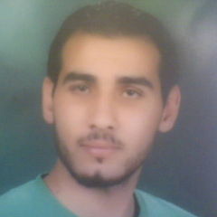 profile-عمر-الرفاعي-10222483
