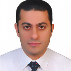 Karim Helemish, Data Analytics Consultant DW/BI