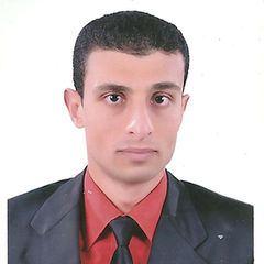 Hisham Mahmoud Mohammed Alhadidy