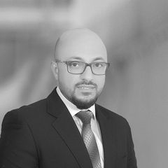 Mohamed gamal Mokhtar Hassan abdelrhman Abdelrahman, مستشار قانوني - قوانين خاصة