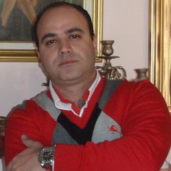 MOHAMAD ARNAOUT, Business Unit Manager