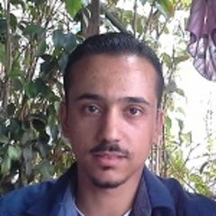 زاهر موسى, Software Engineer