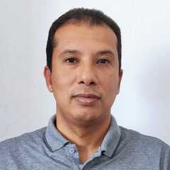 Walied Moussa, Project Coordinator Engineer