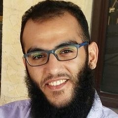 أحمد عطية عبد الخالق دابوه, Software development team lead