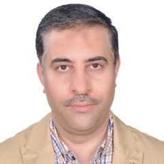 محمد محمود لطفى Lotfy , Financial Manager