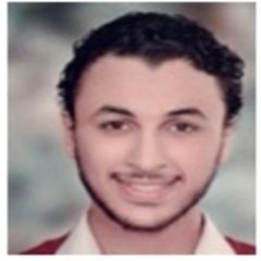 أحمد عصام أحمد عادل شحاته, Senior Mechanical Engineer
