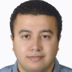 Ahmed ELshenawy, Senior Architect