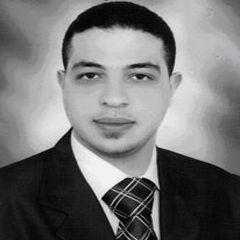 Ahmed Rezk, الاداره والاشراف العام
