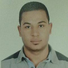 محمود عبد الفتاح عباس, Field Service Engineer