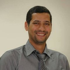 Osama Gamal, Software Consultant
