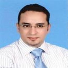 هشام محمد محمود حسن شرف