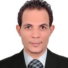 احمد حمدى محمد عبد الغنى حمدى عبد الغنى, مدير تنفيذي 