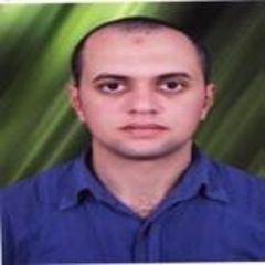 محمد حمزة, Chief Accountant in charge financial controller