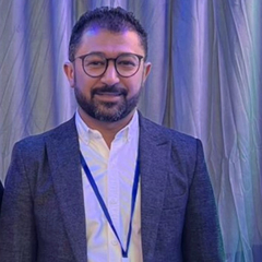 Wael Hassan Abdullah  Bekheet