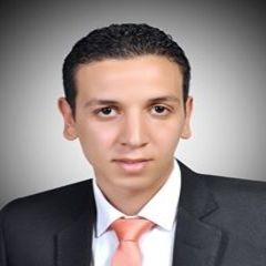 Mohamed Elraey, support manager