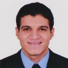 أحمد محمد خالد محمد كمال, Section Manager