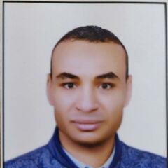 Ahmed Abdelgawad