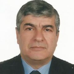 محمد سنان توركهان, Senior Construction Manager