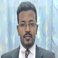 أسامة محمداحمد محمد إبنعوف, systems and network administrator