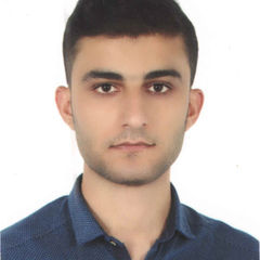 محسن أماني, outdoor IT Manager