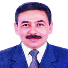ashraf abdelrazik, central regional manager
