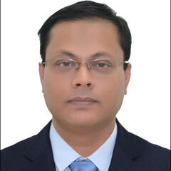 Dilip Kumer Mazumder, System Analyst