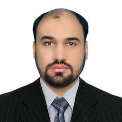 Sayed Ali Kumail, Software Engineer