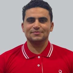 Mahmoud Salem