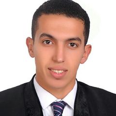 Ahmed Adel, sales representative