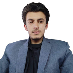 Hamza Khan, accountant
