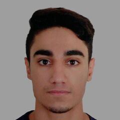 Sayed Ahmed Hameed