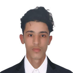 بدر الدين الخود