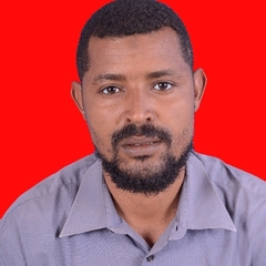 Ismail Mohamed Ismail