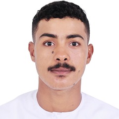 MAHMOUD  SAYED MOHAMED AHMED