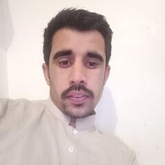 M Nafees