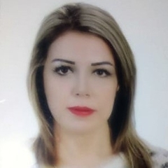 Fatina Abdulhamid