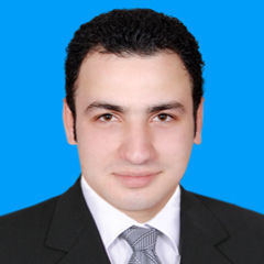 Mahmoud Hussein Amin Abdelrazek