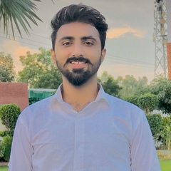 Amir  Ali, accountant assistant