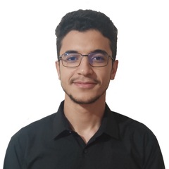Taha Yassine Chaibi, Data Analyst