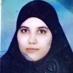 Nahla Ebied, assistant professor