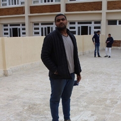 Abdelrahman  Mekky 