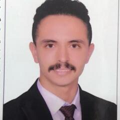 Mohamed Ahmed  Abdeldayem Awad