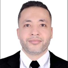 أحمد سلام, Developer