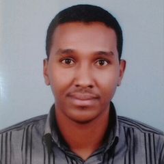 khalid Abdulgader Hassan, Hospital Pharmacist