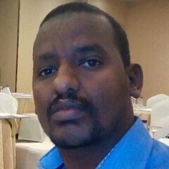 محمد فتح الرحمن محمد الامين, Senior Accountant 